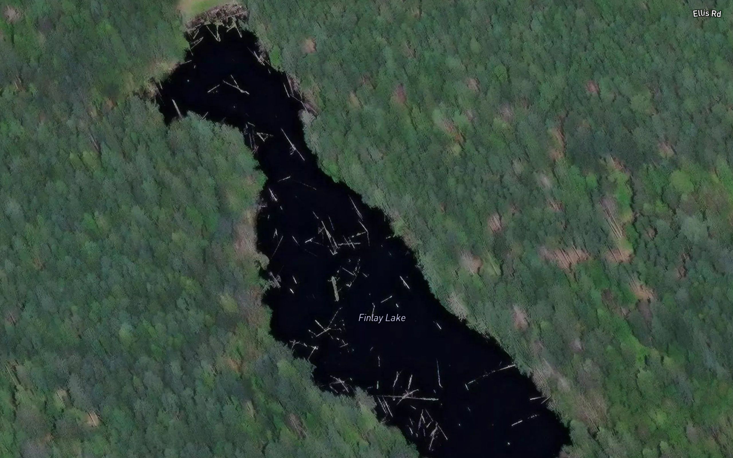 Finlay Lake