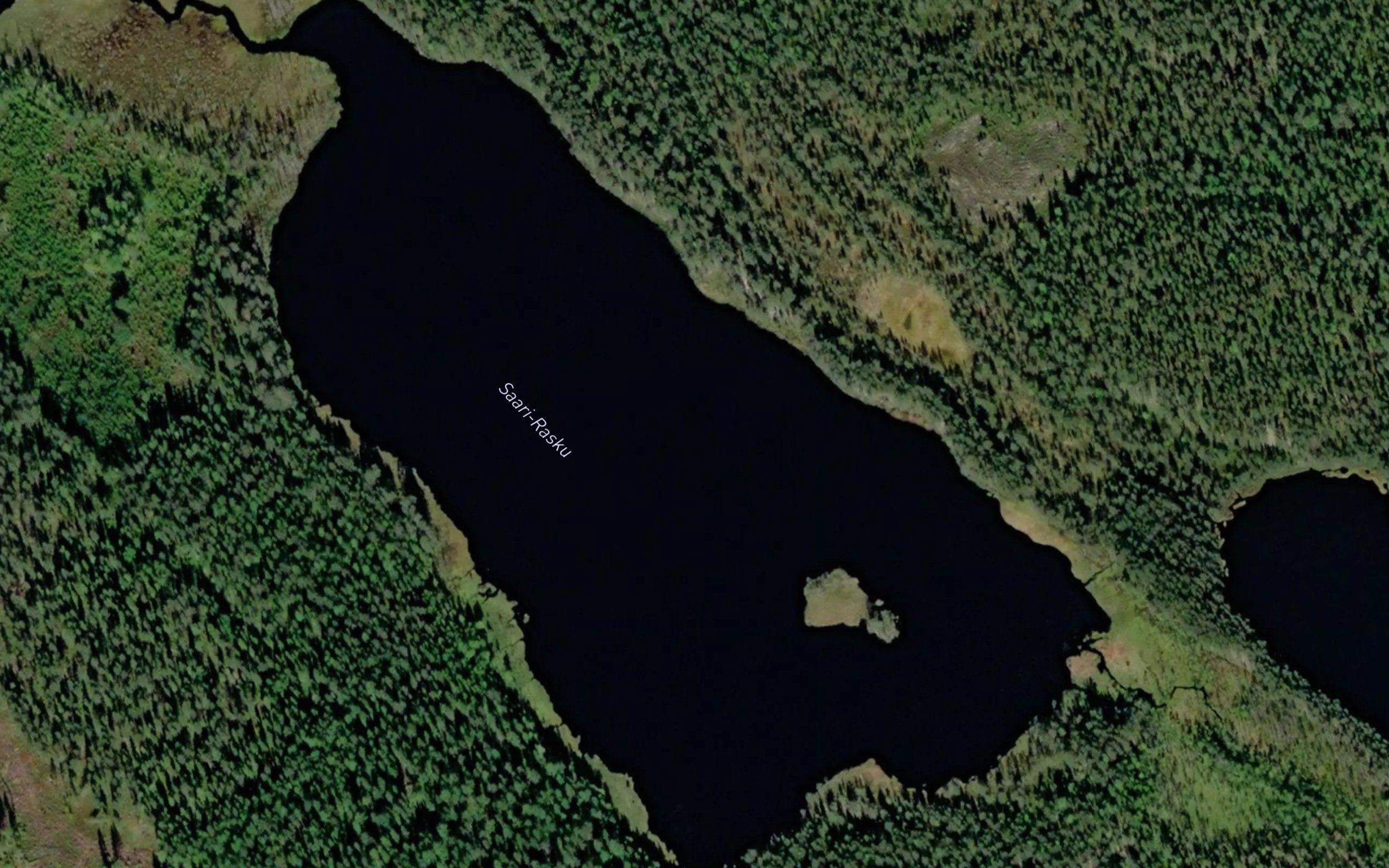 Saari-Rasku
