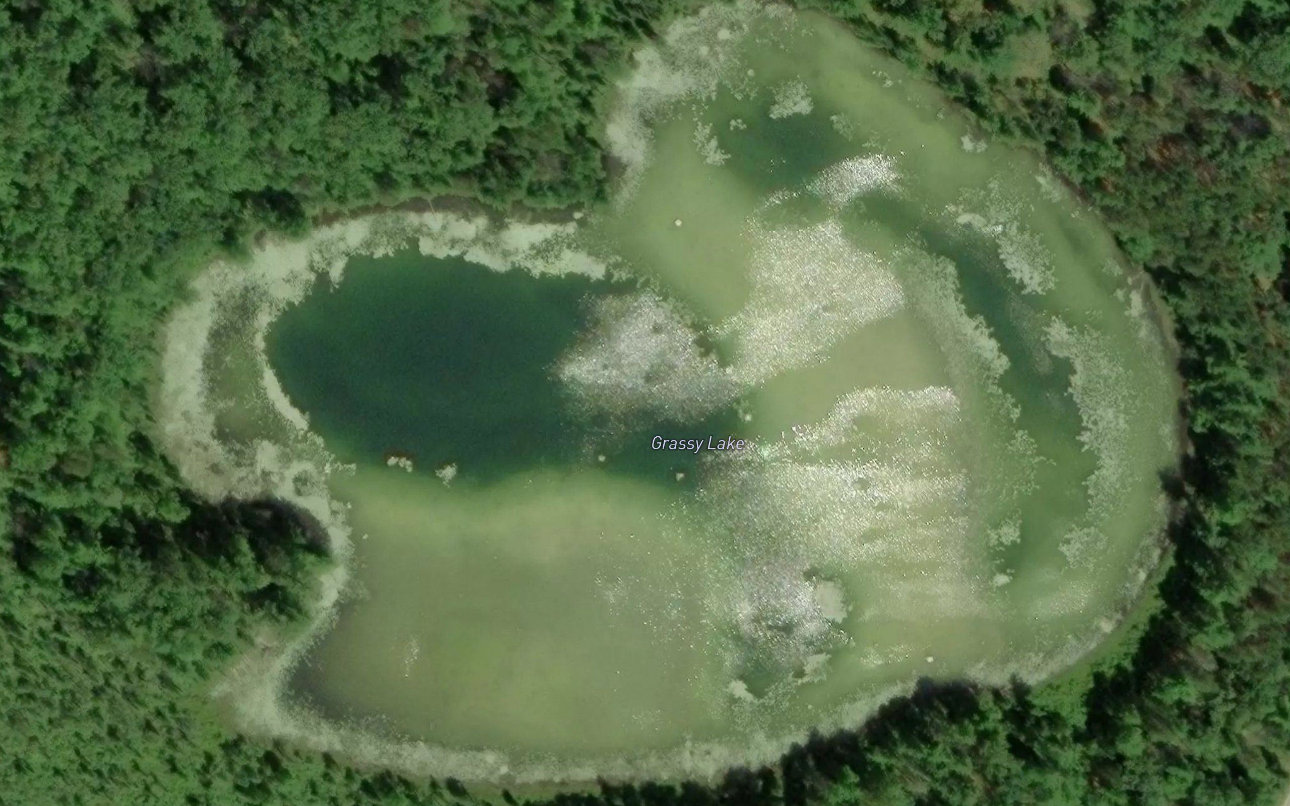 Grassy Lake