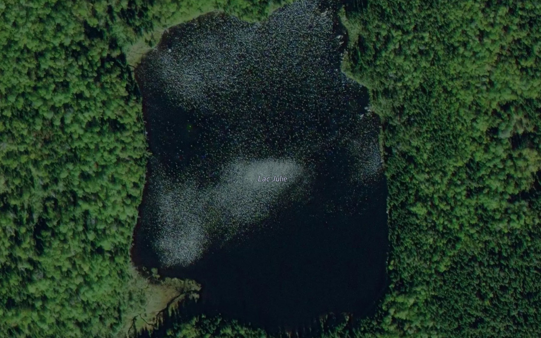 Satellite map of the Lac Julie