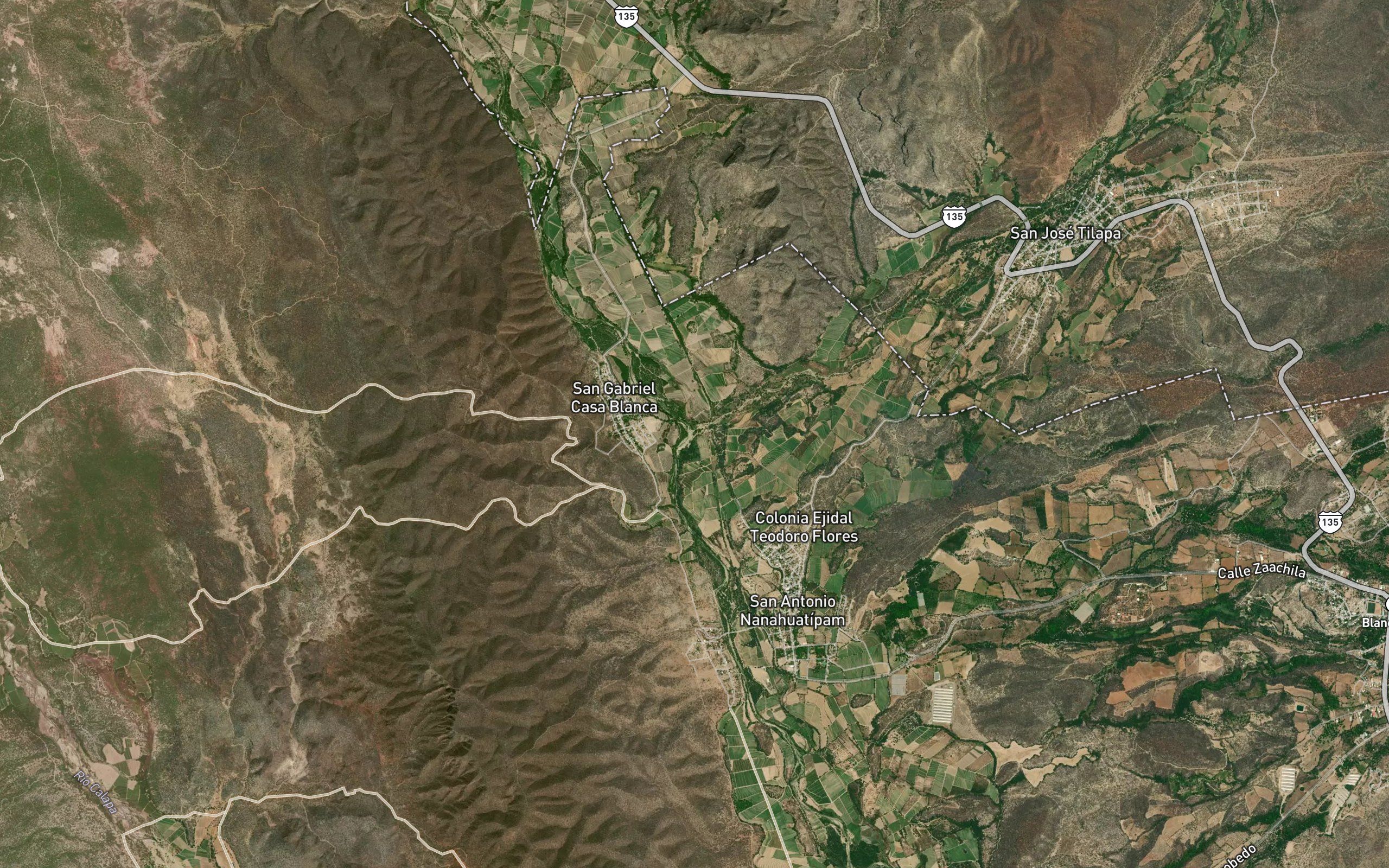 Tilapa