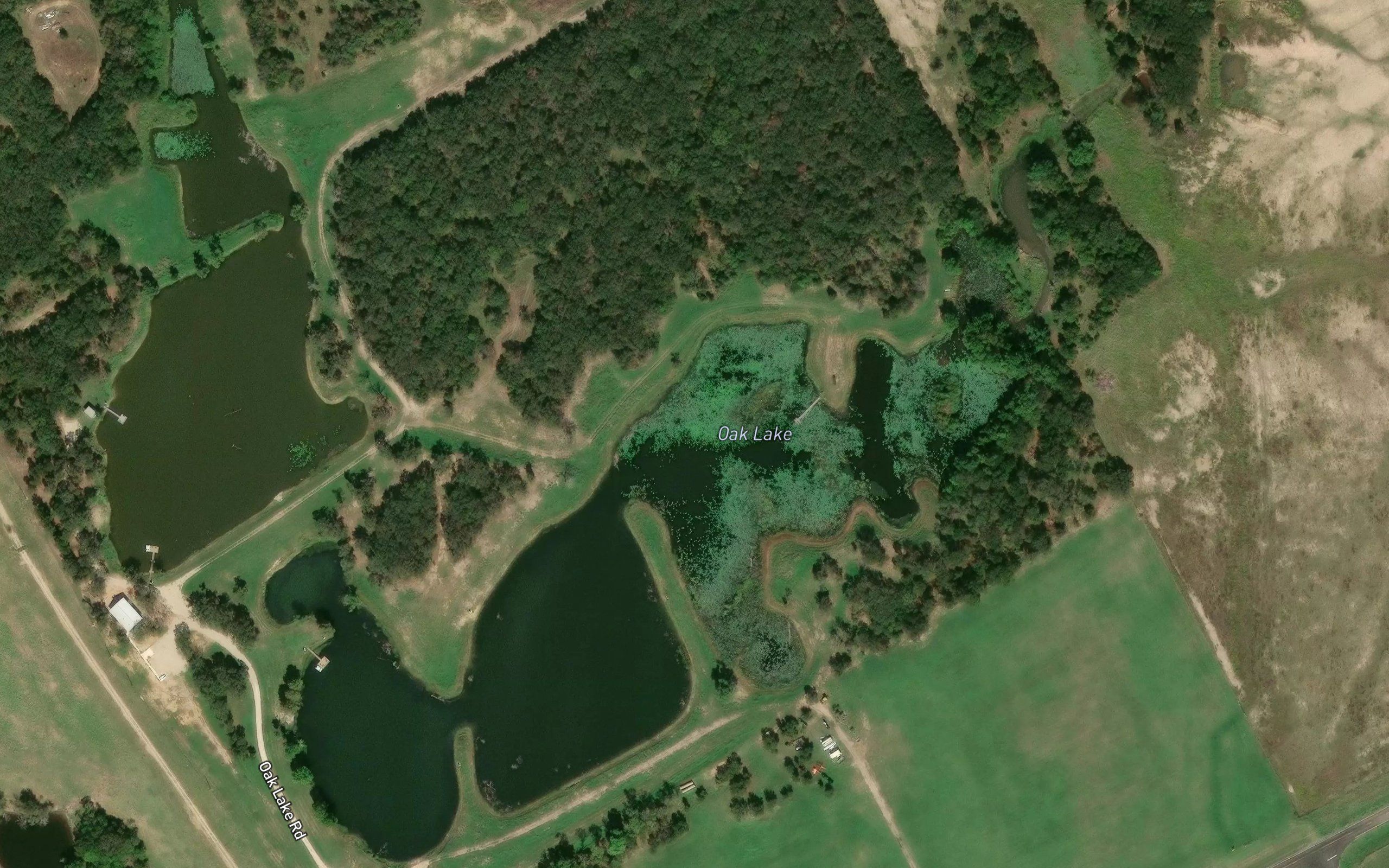Oak Lake