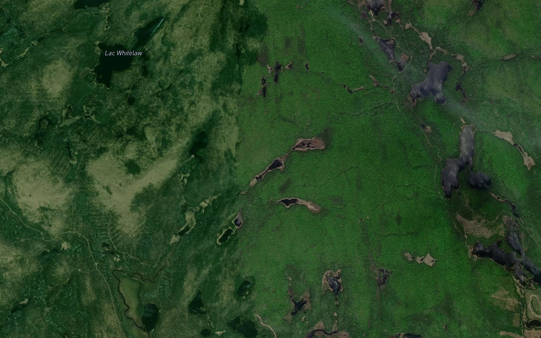 Satellite map of the Lac de l'Ile