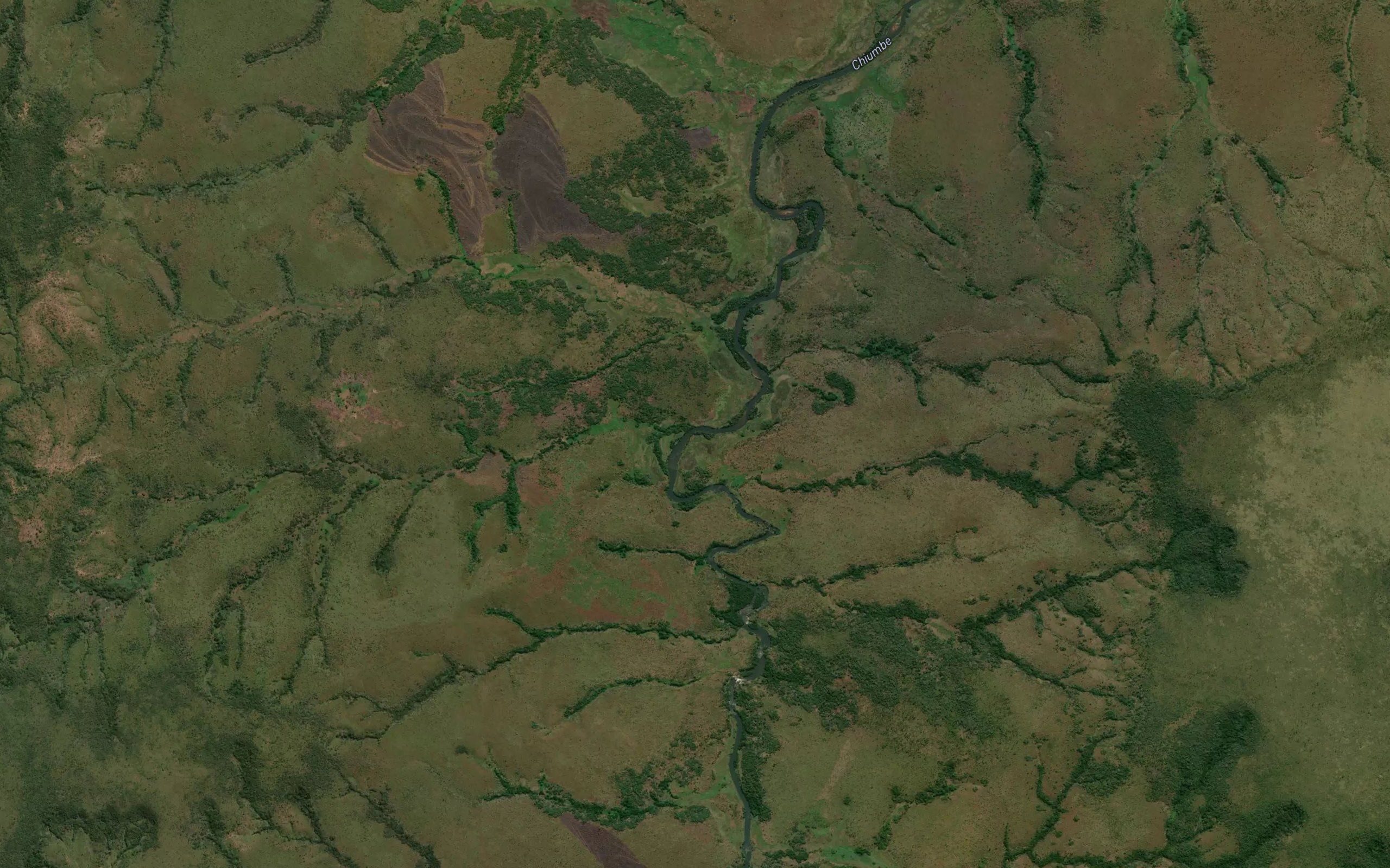 Namagia