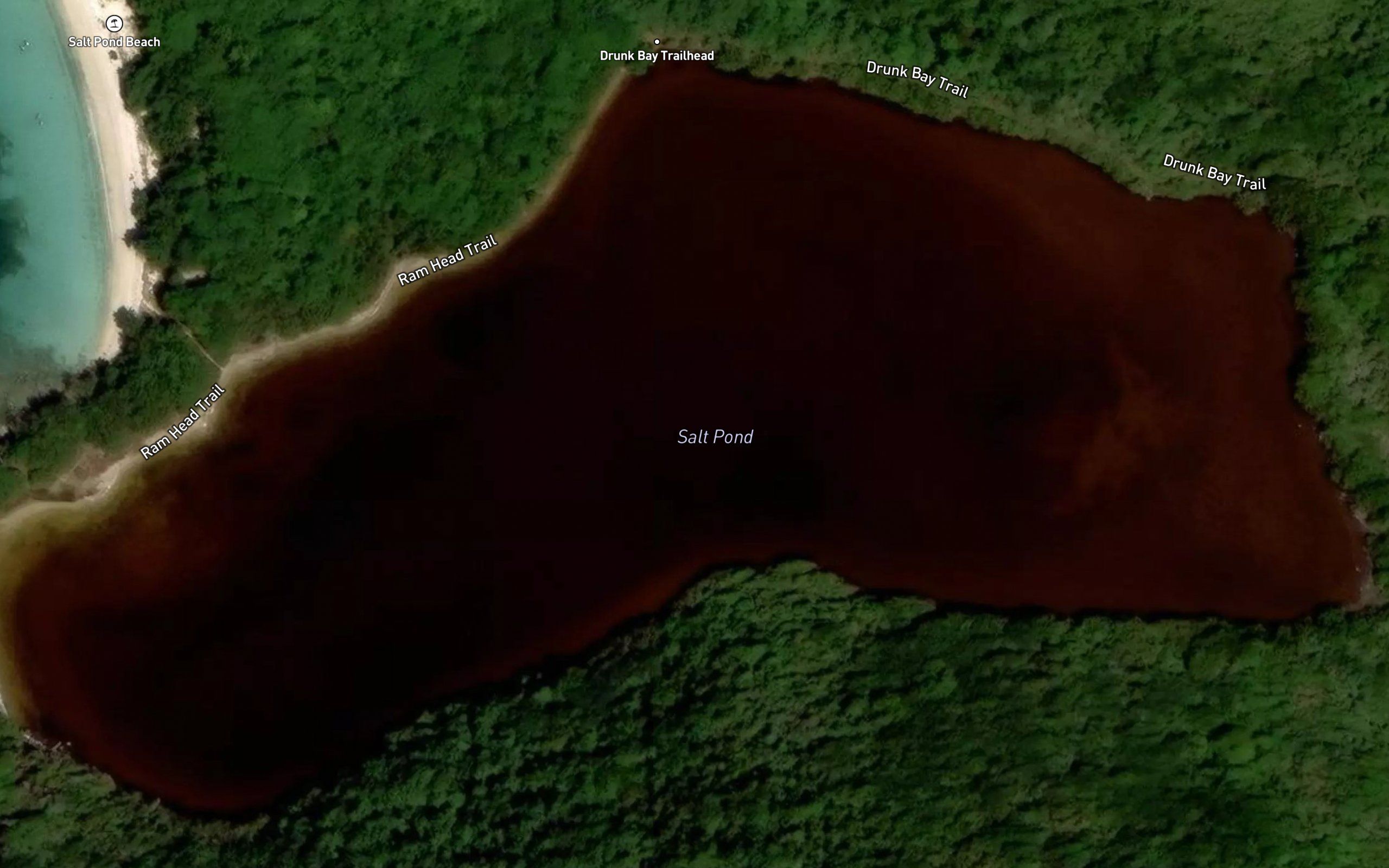 Salt Pond