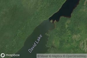 David Lake