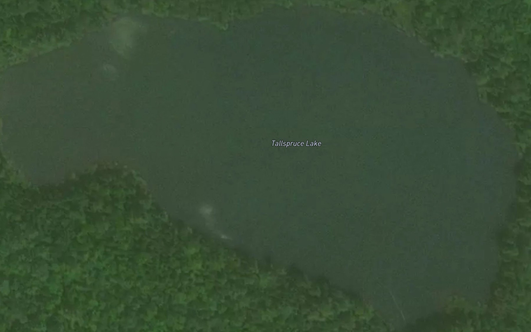 Satellite map of the Tallspruce Lake