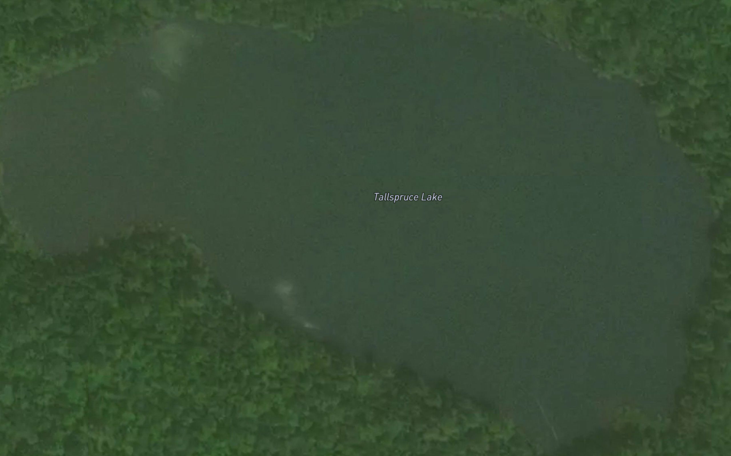 Tallspruce Lake