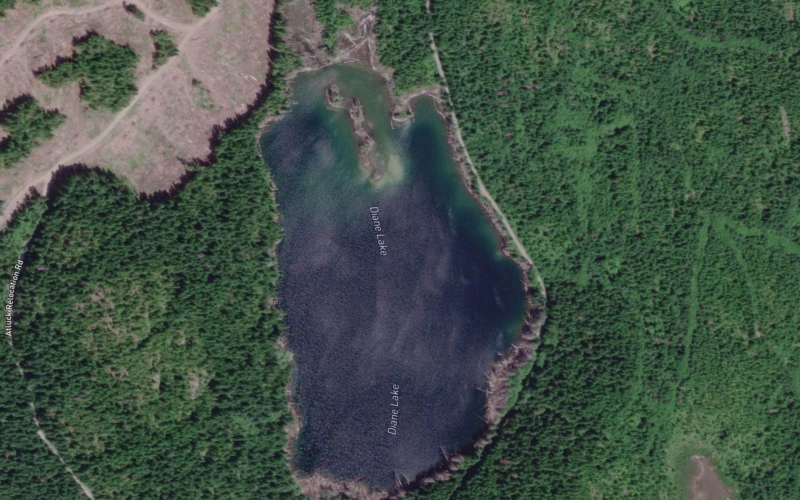 Diane Lake