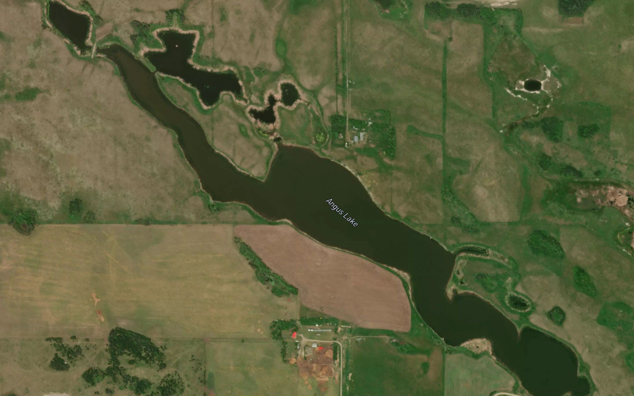Angus Lake