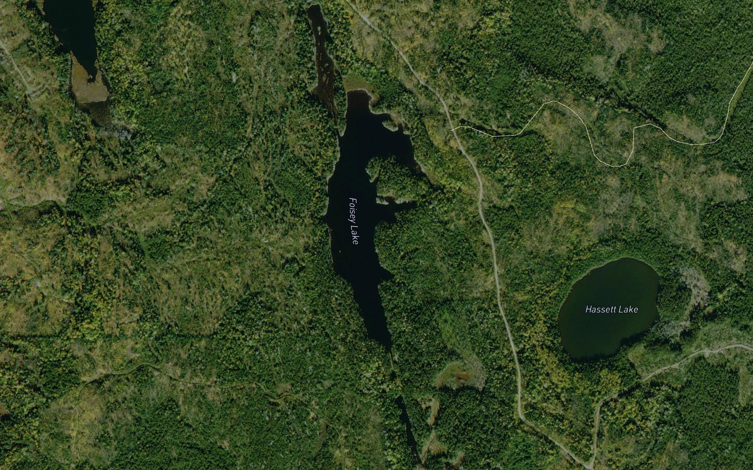 Foisey Lake