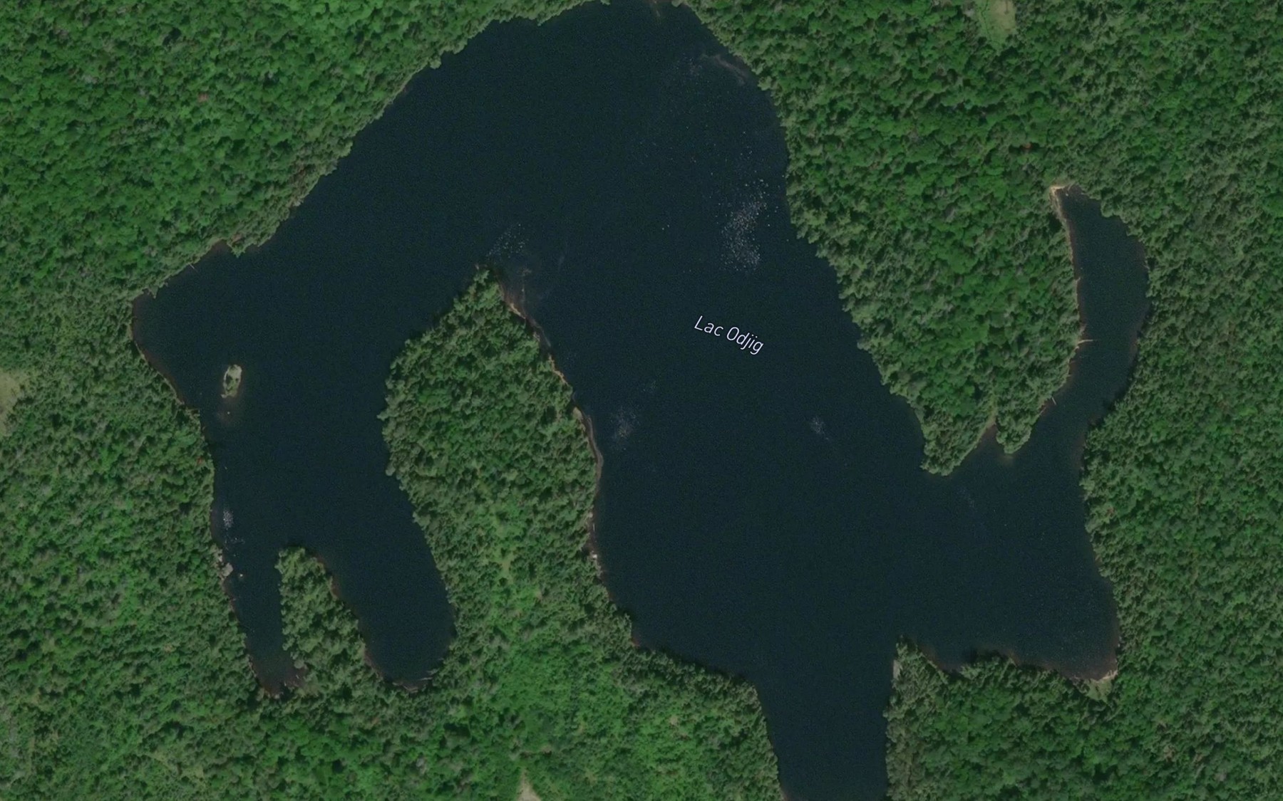 Satellite map of the Lac Odjig