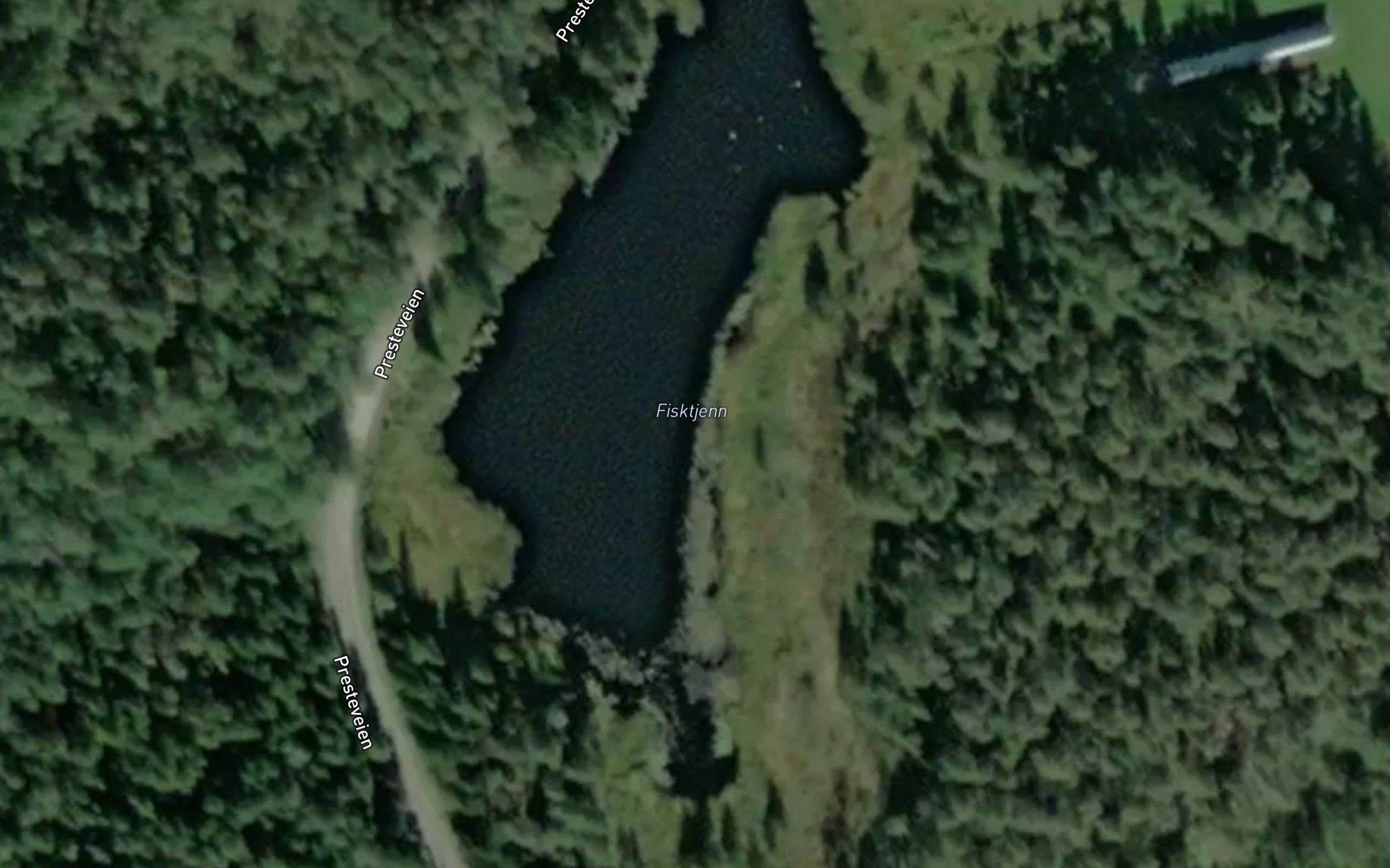 Fisktjern