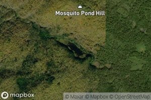 Mosquito Pond