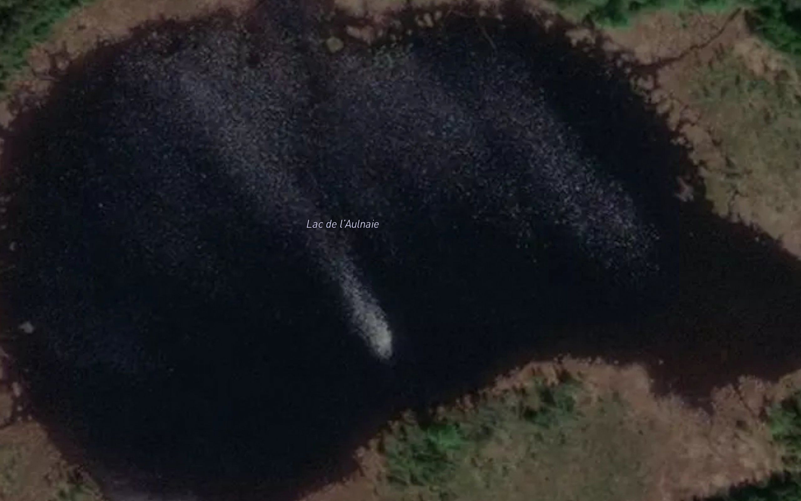 Lac de l'Aulnaie