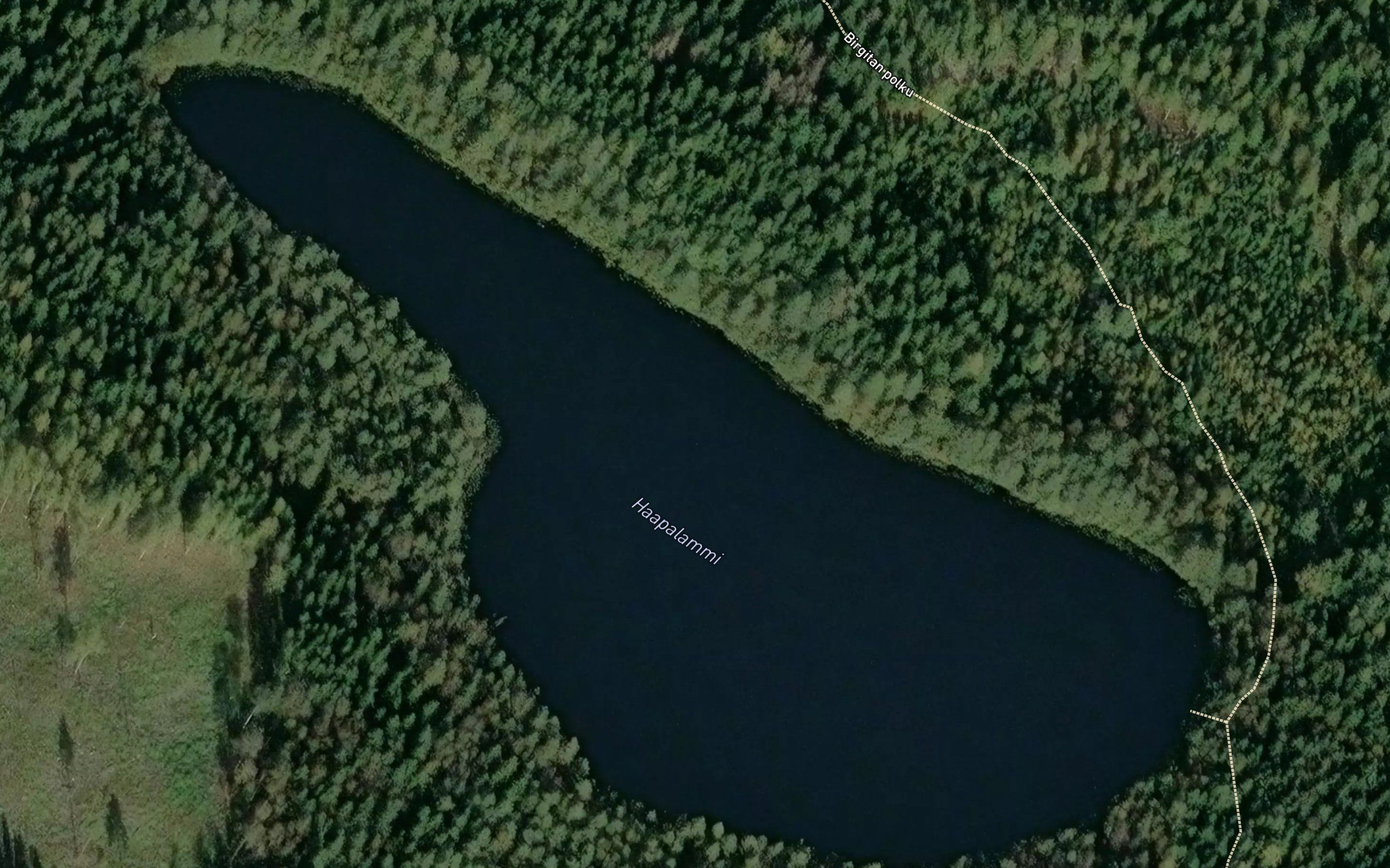 Haapalammi
