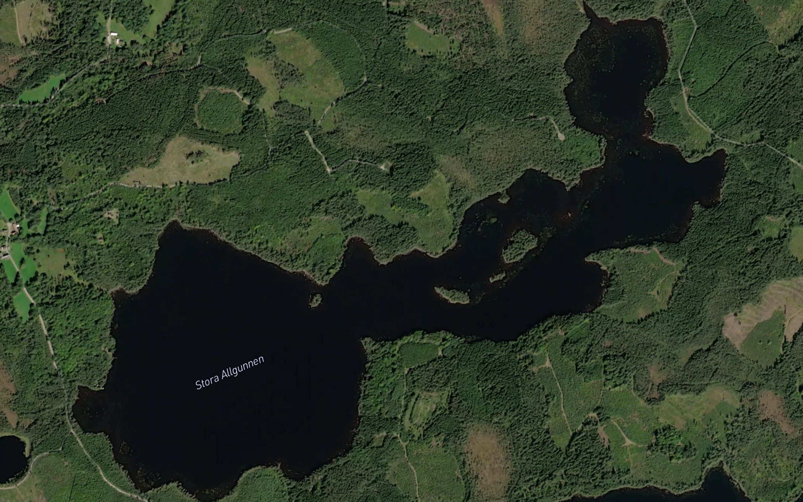 Stora Allgunnen