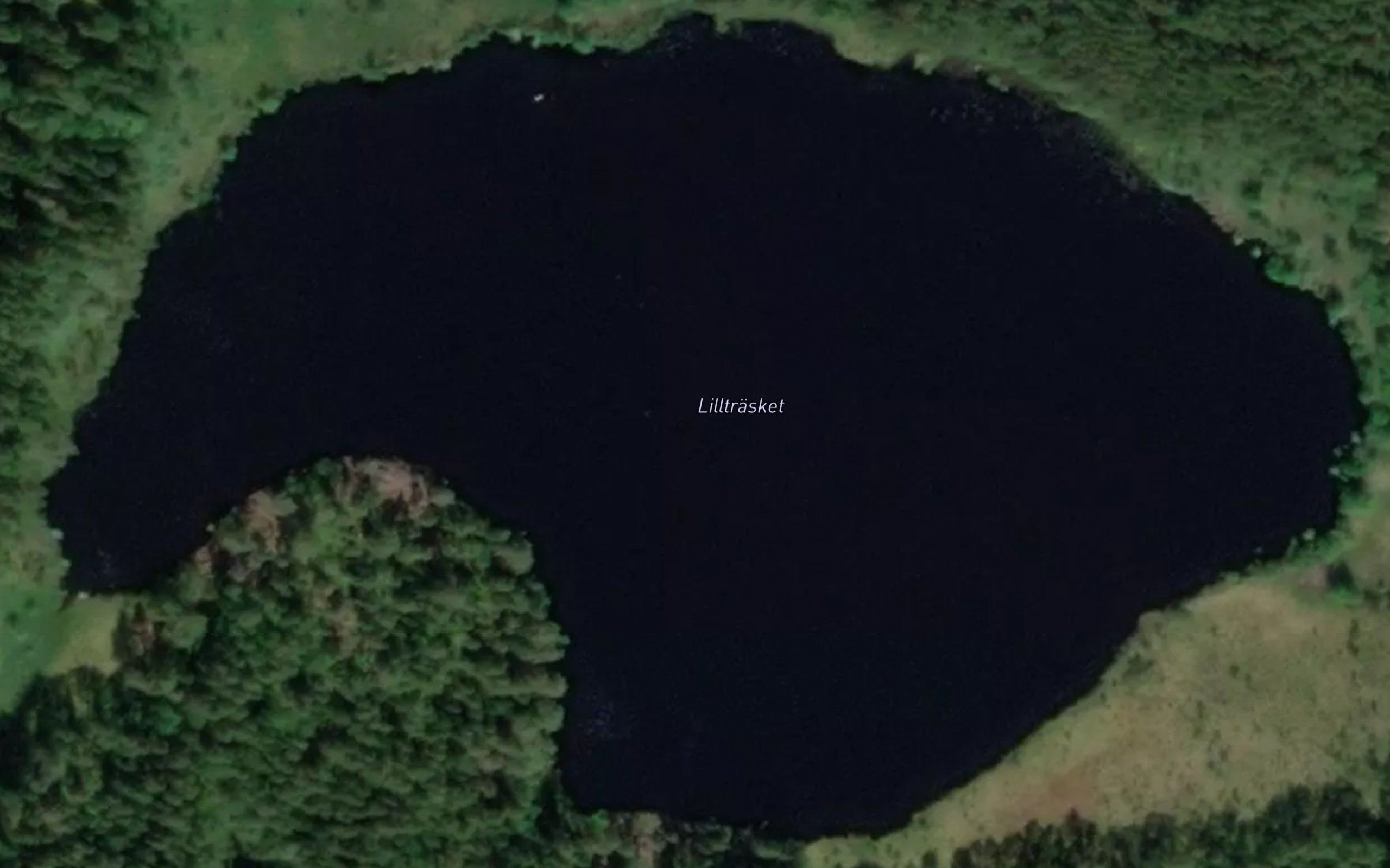 Lilltrasket