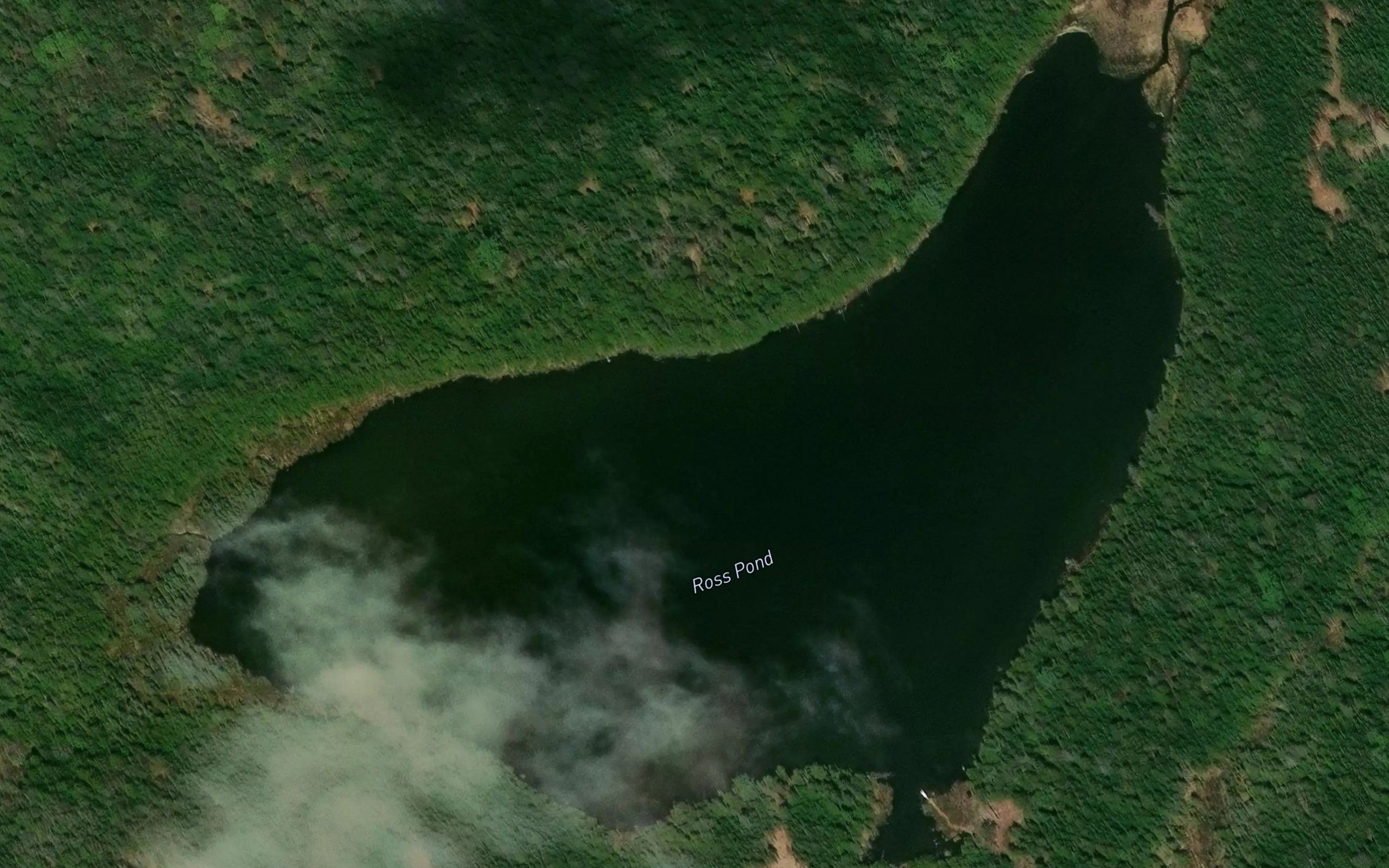 Ross Pond