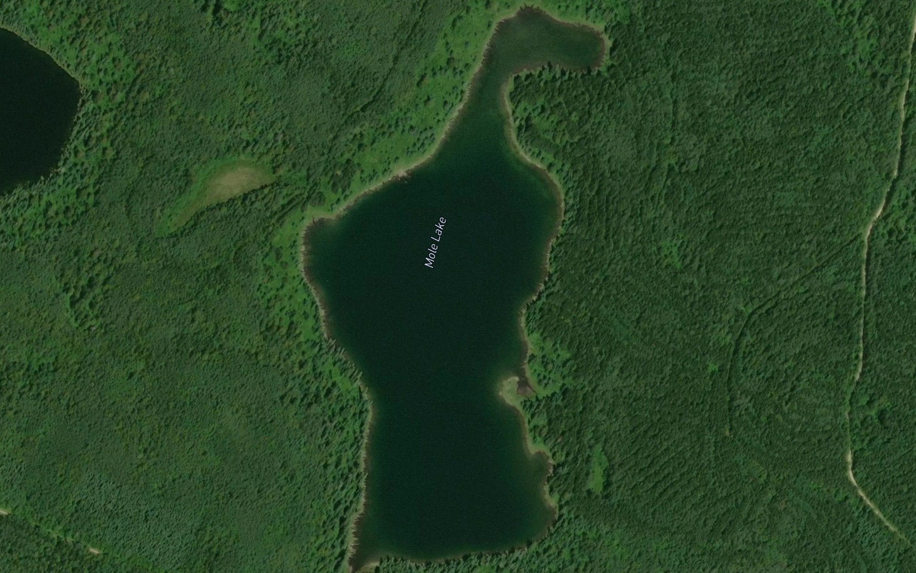 Satellite map of the Mole Lake