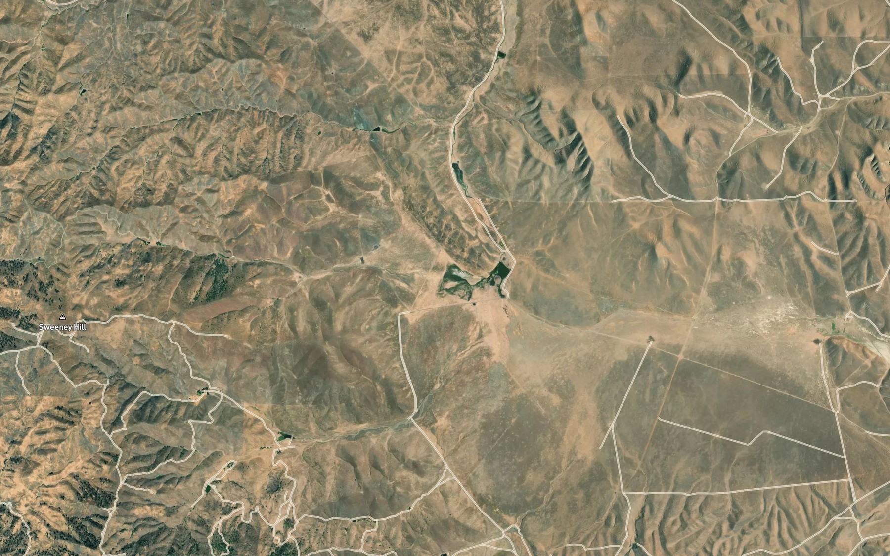 Satellite map of the Carrisalito Springs