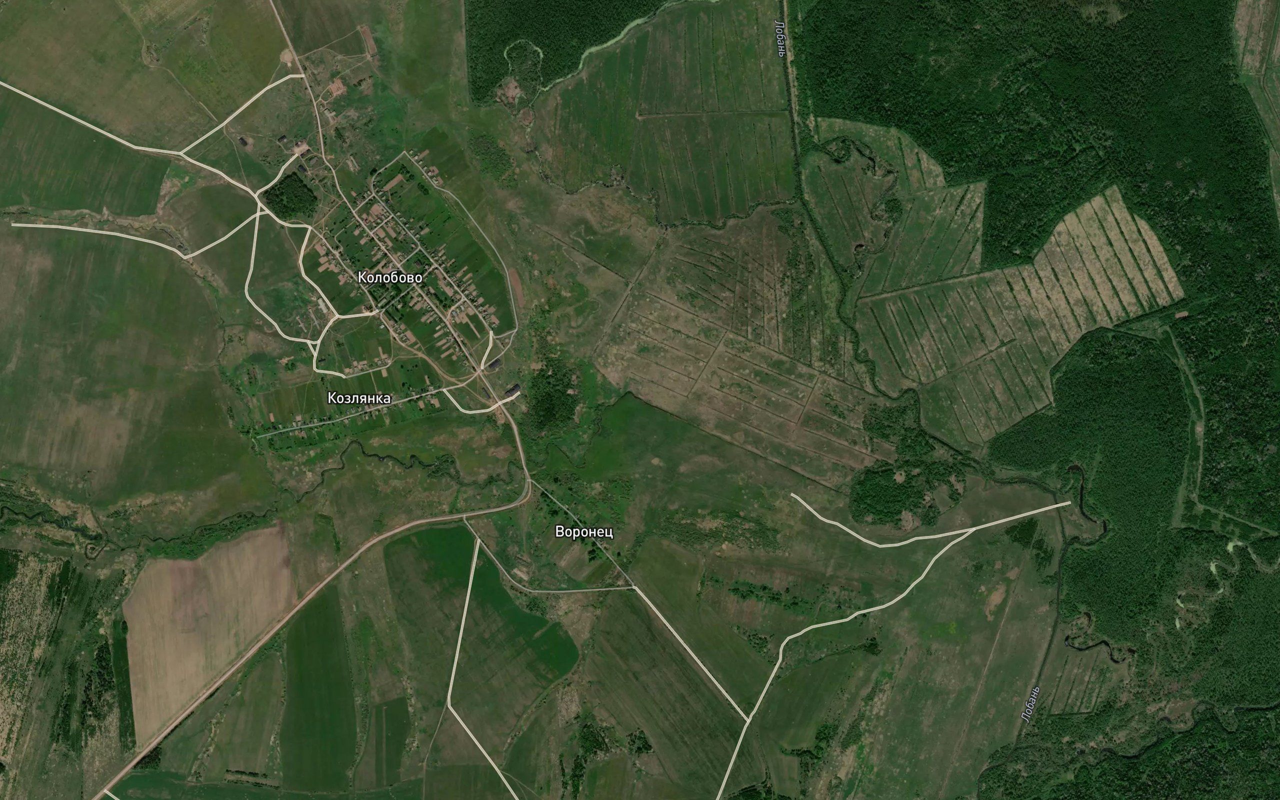 Kozlyanka