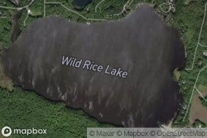 Wild Rice Lake