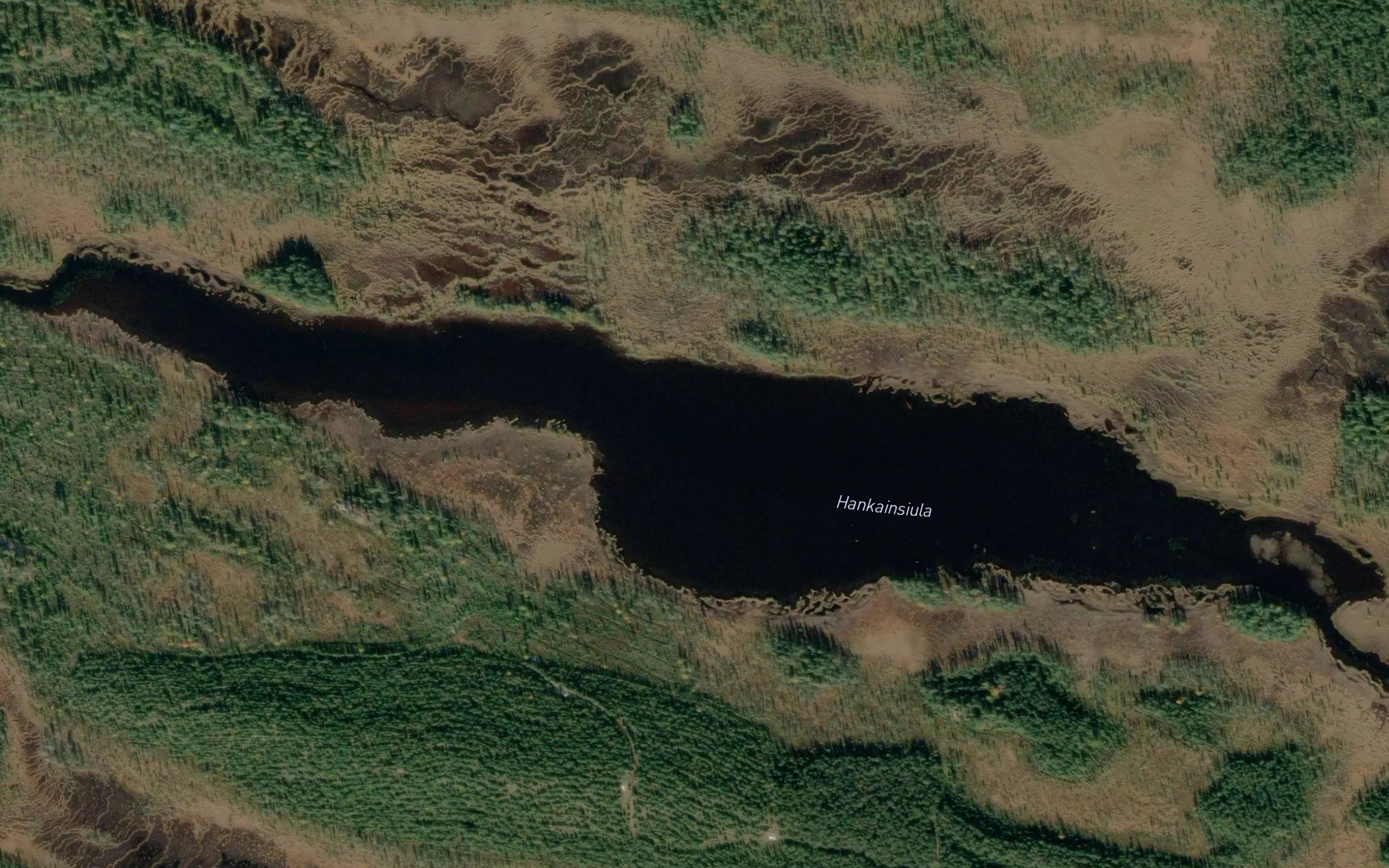 Hankainsiula