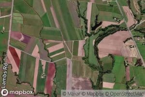 West Branch Owens Creek