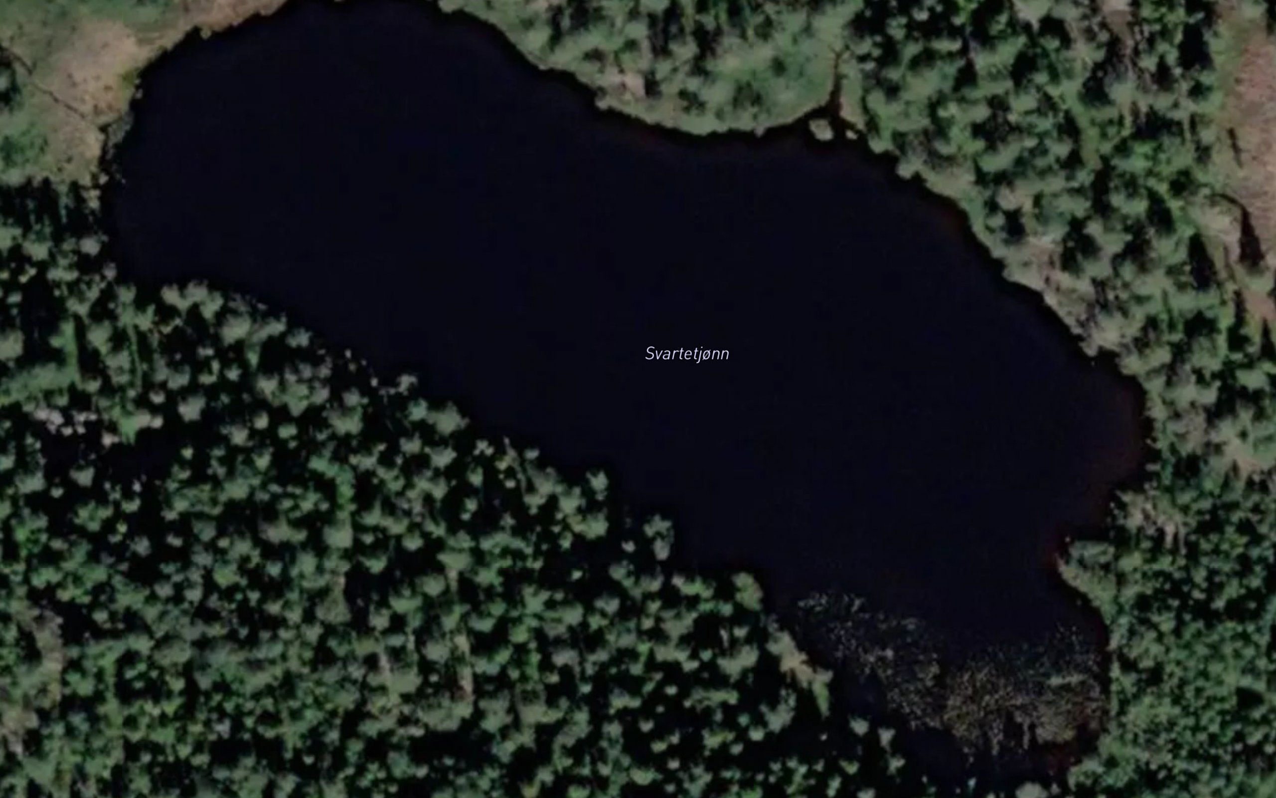 Svartetjorn