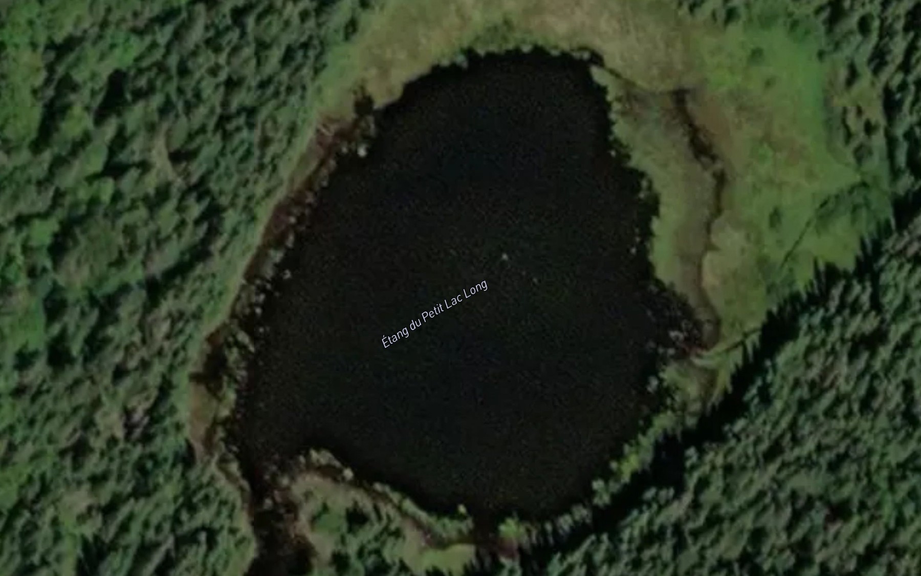 Satellite map of the Etang du Petit Lac Long