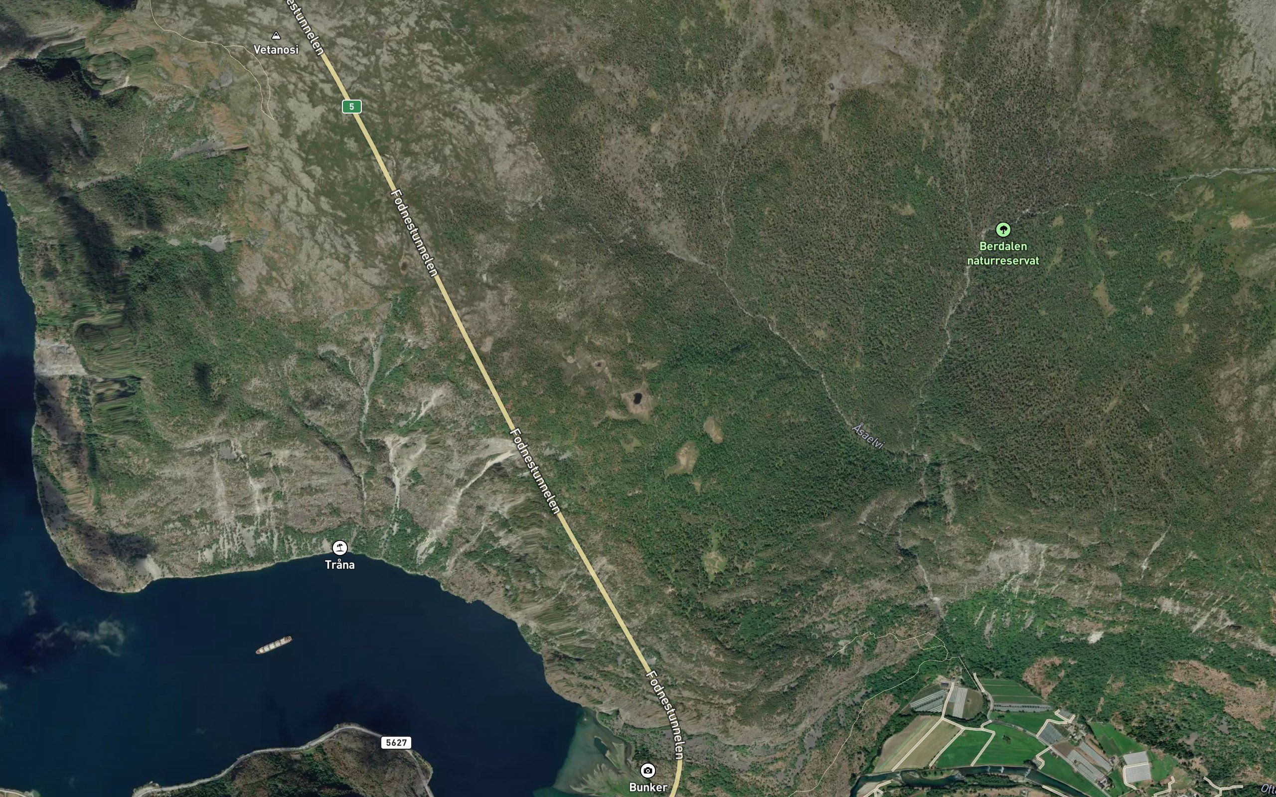 Lomtjorn