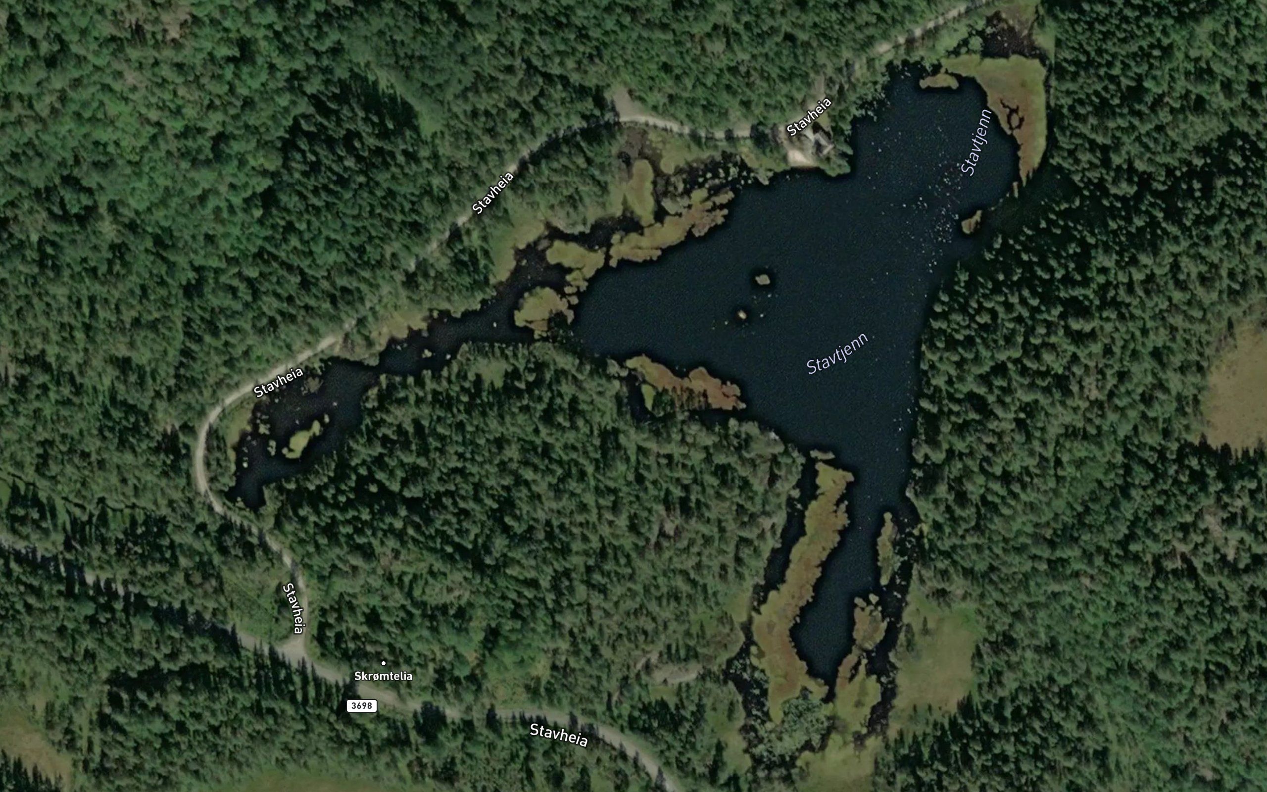 Stavetjorn