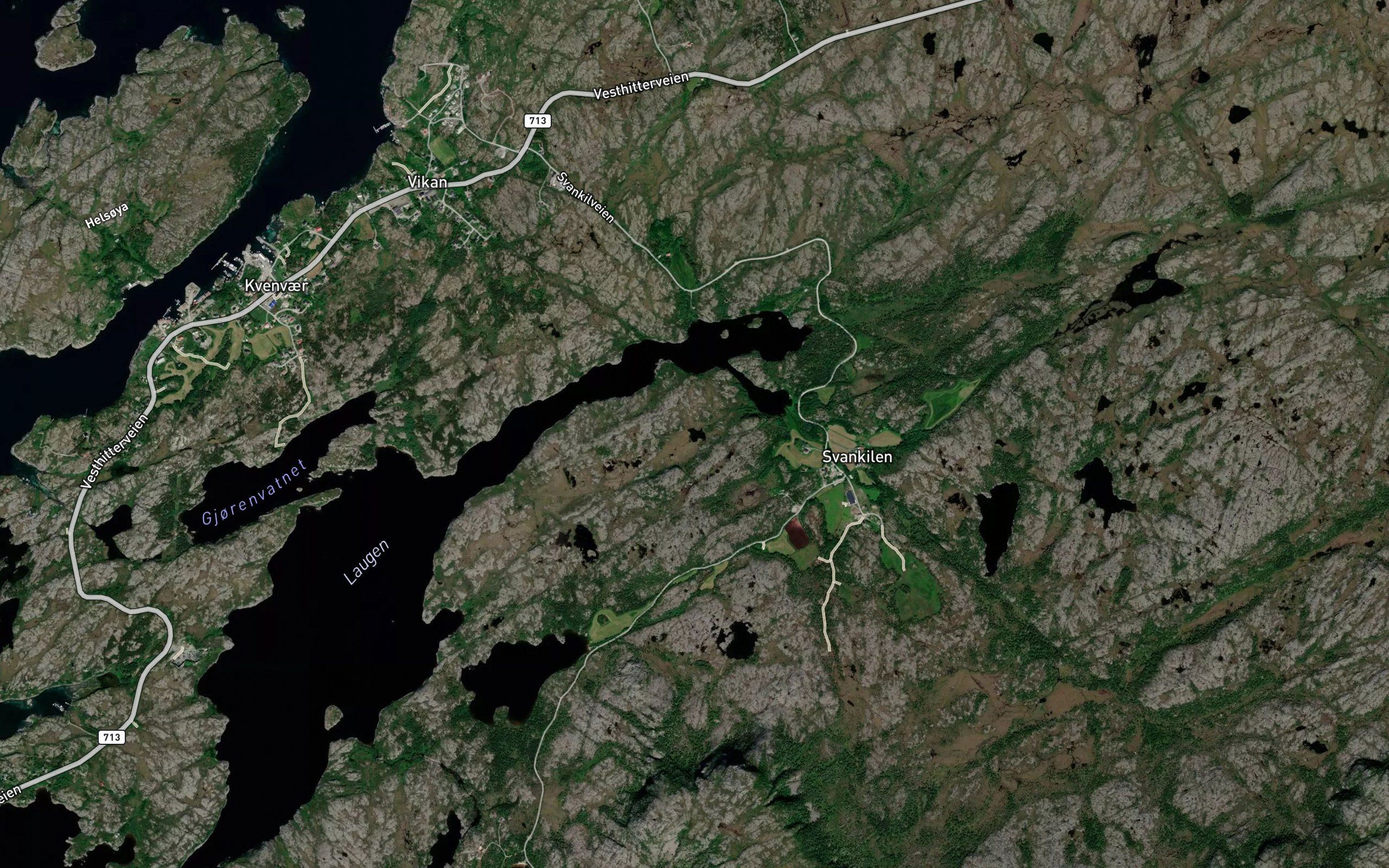 Lauvviktjorna