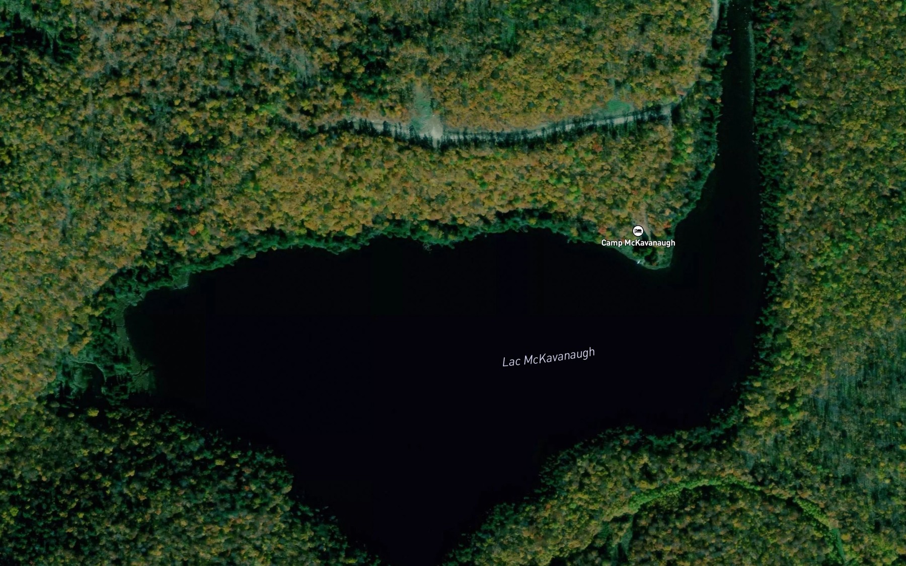 Satellite map of the Lac McKavanaugh