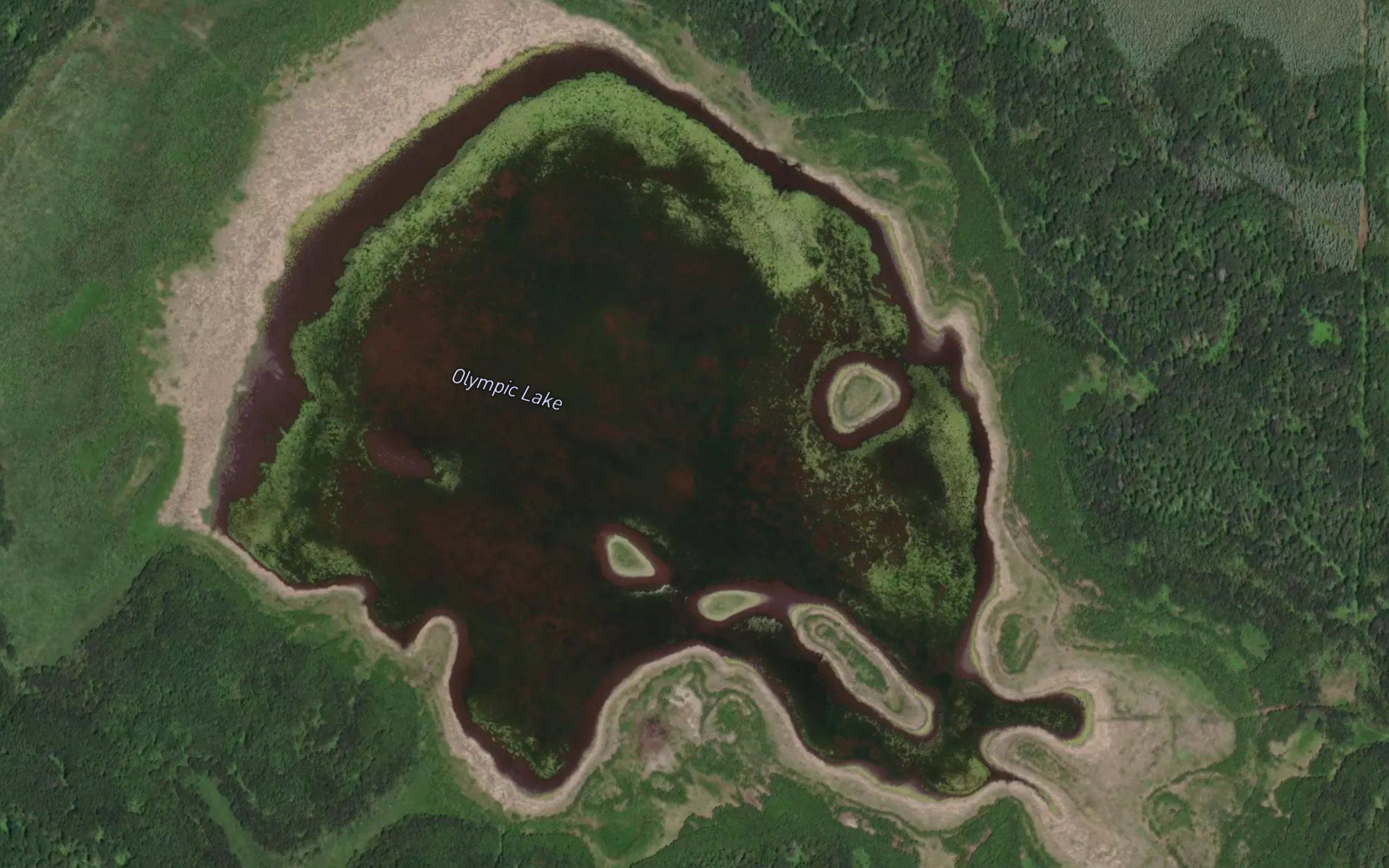 Olympic Lake