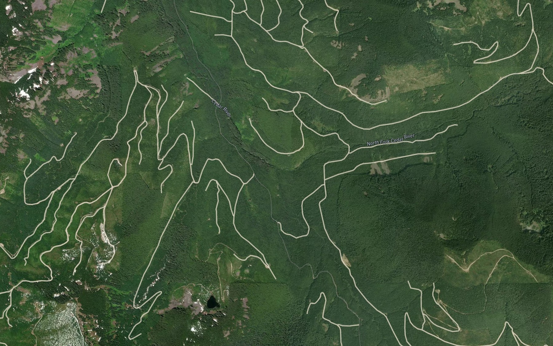 Satellite map of the South Fork Cedar River