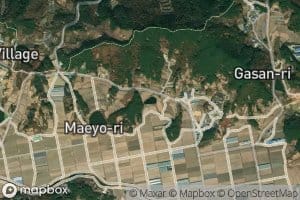 Gasanje