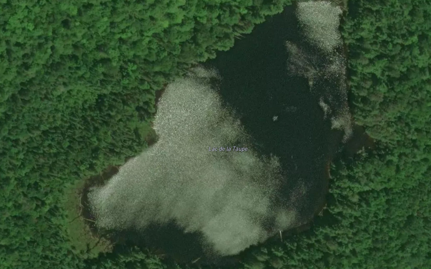 Satellite map of the Lac de la Taupe