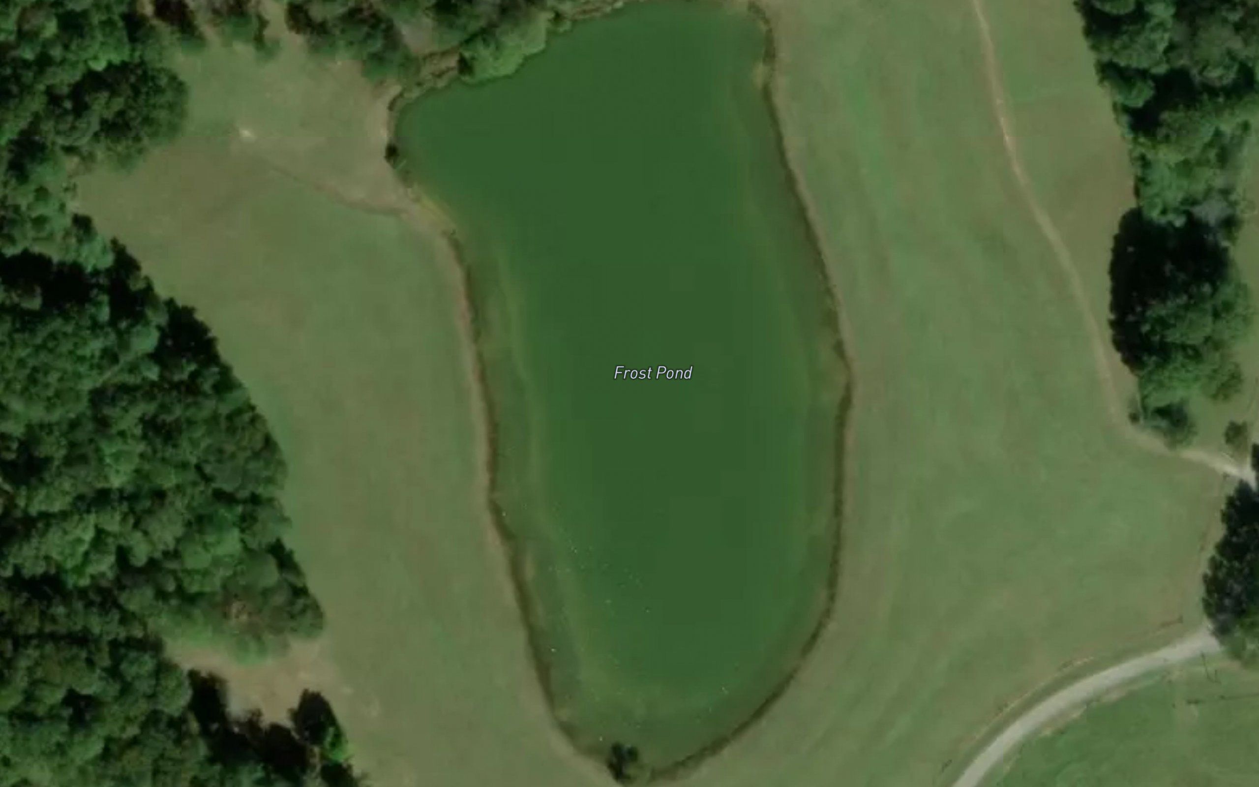 Frost Pond