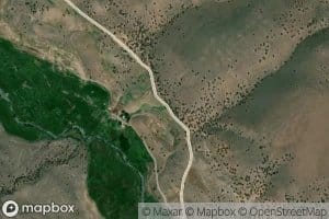 Morrison Spring