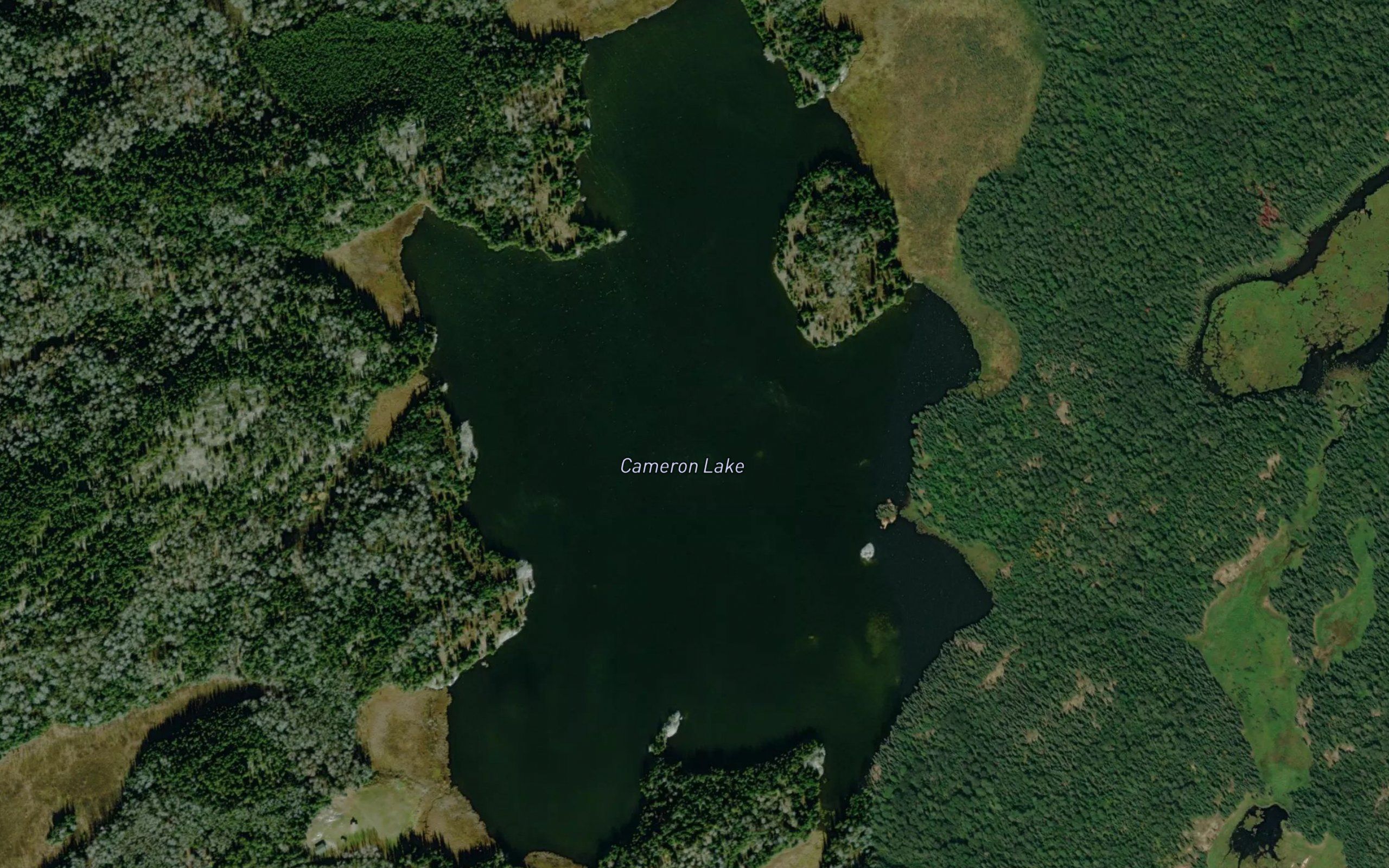 Cameron Lake