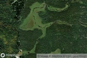 Swamp Creek