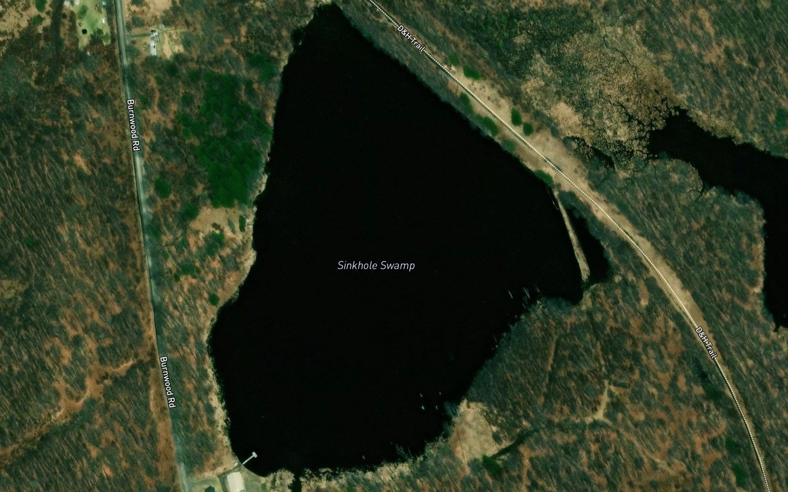 Sinkhole Swamp