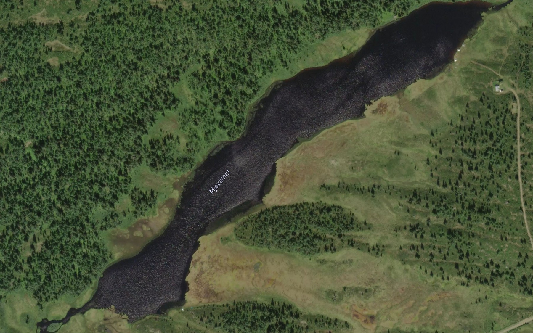 Satellite map of the Mjovatnet