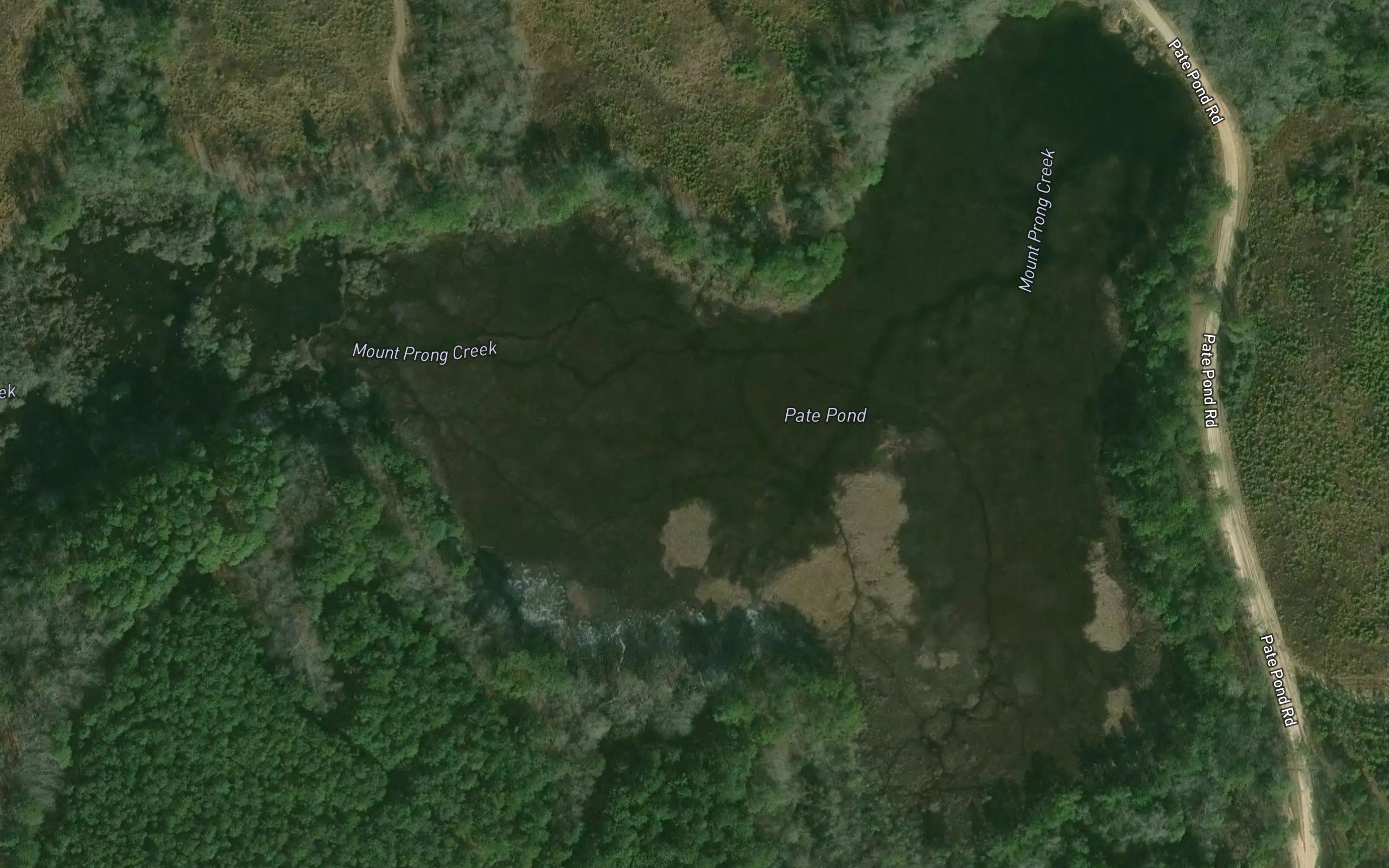 Pate Pond