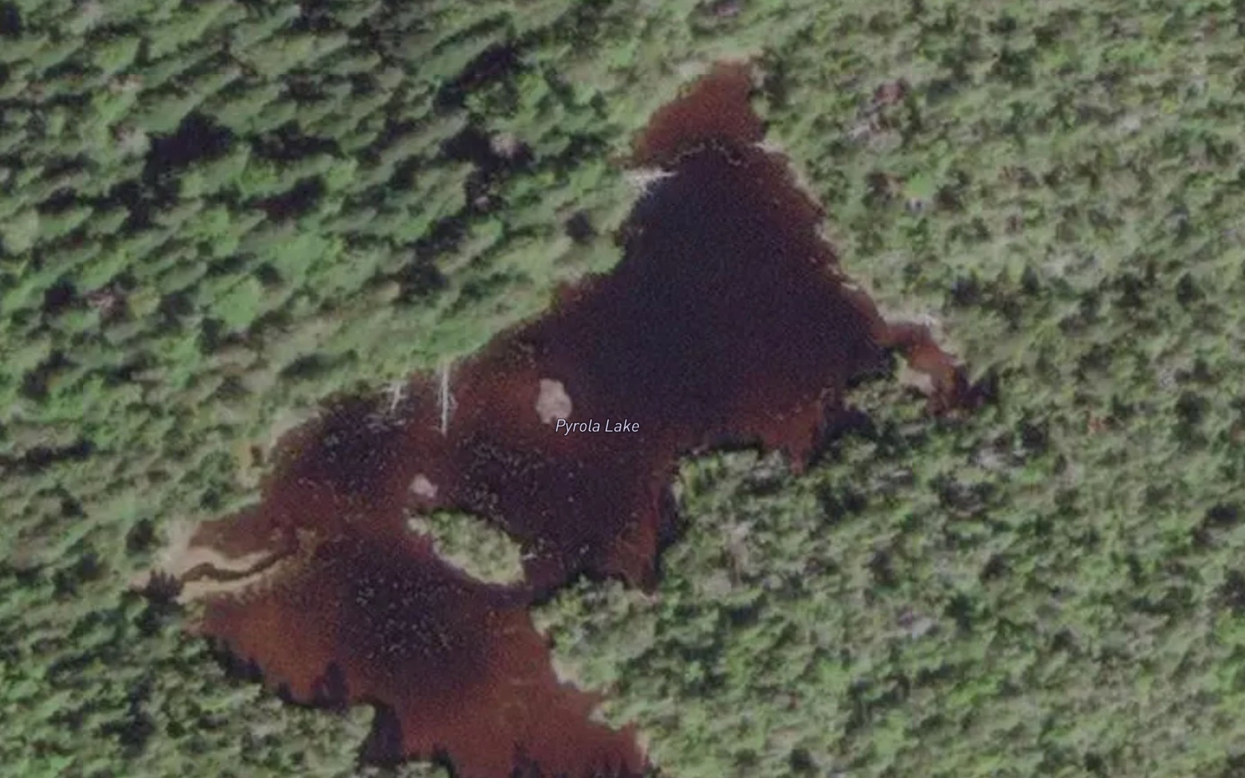 Satellite map of the Pyrola Lake