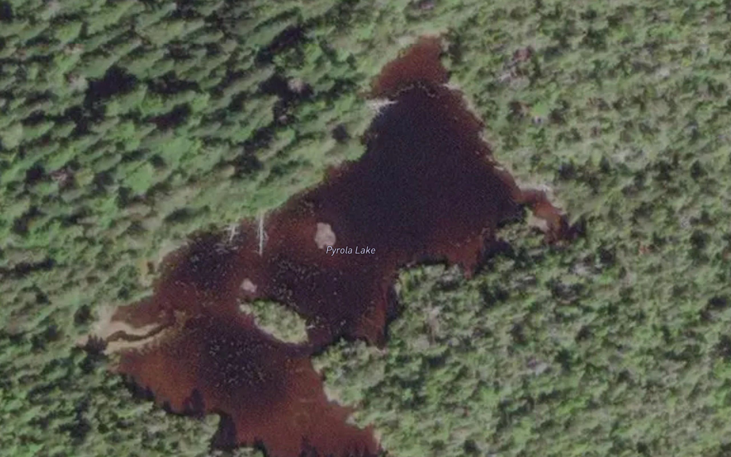 Pyrola Lake