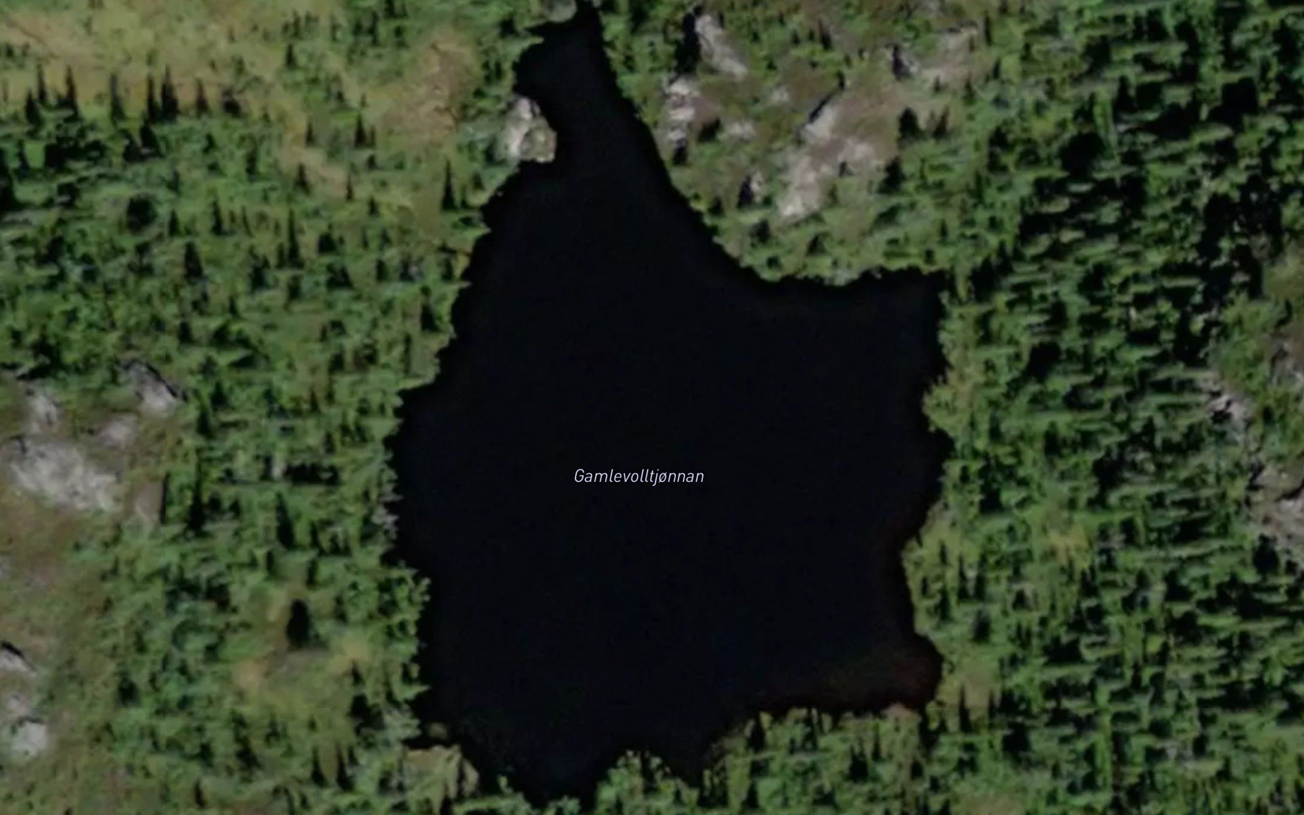 Gamlevolltjorni