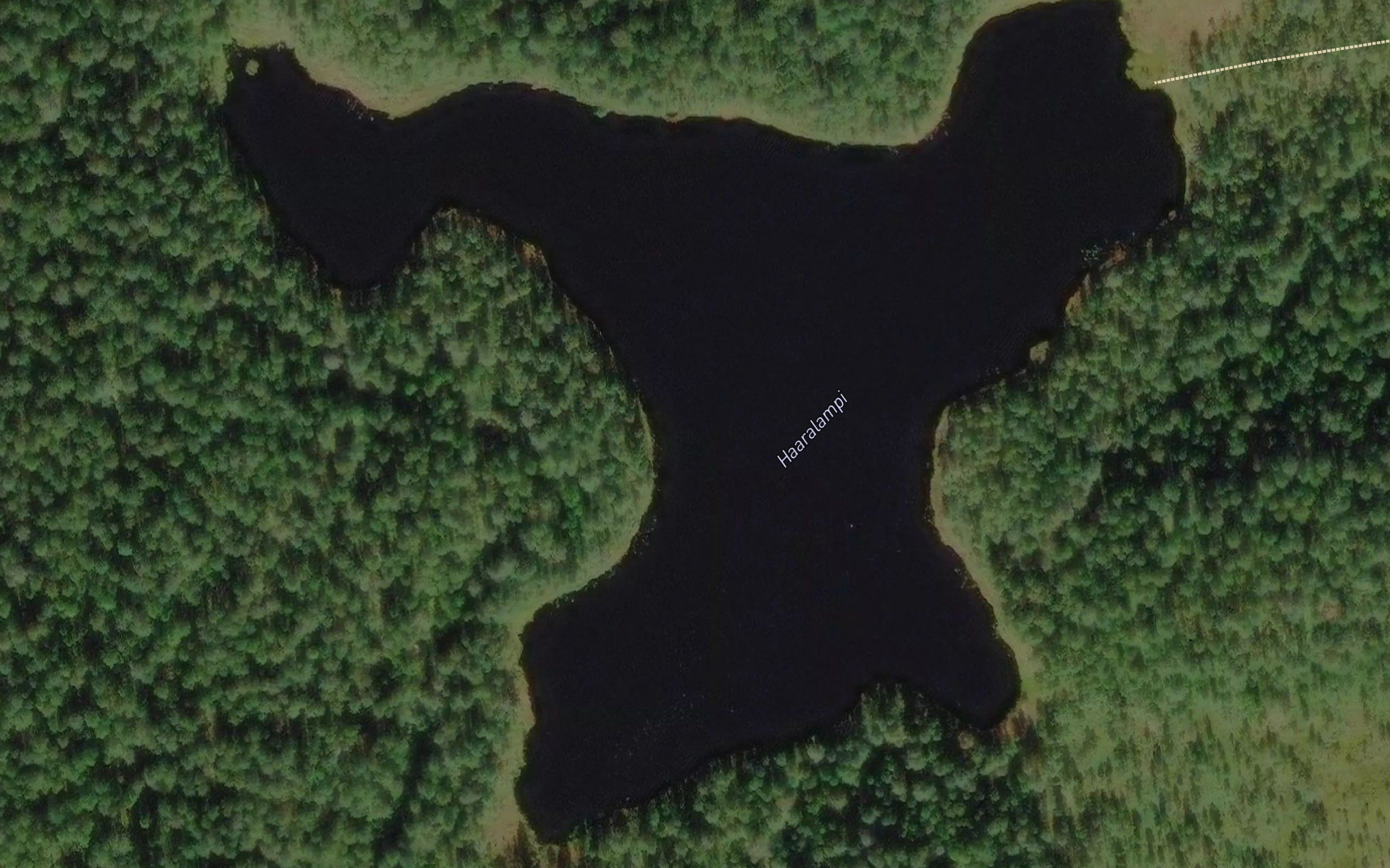 Haaralampi
